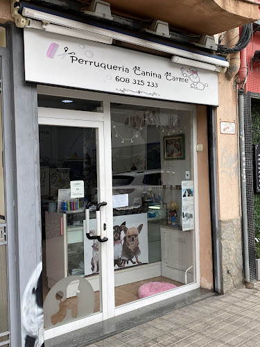Perruqueria Canina Carme en Barcelona