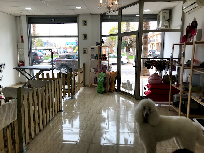 Perruqueria Canina Dog Stars en Valencia
