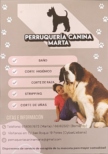 Perruquería Canina Marta en Cantabria