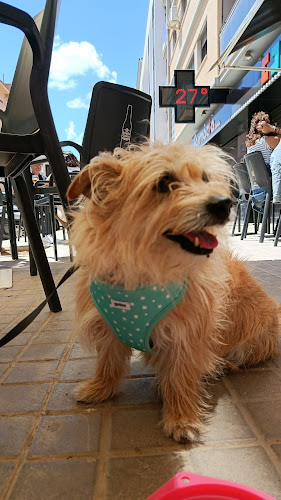 Perruqueria Canina Un Món De Pèls en Valencia