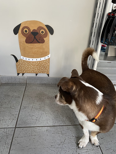 Pet Center Veterinaria en Castellón