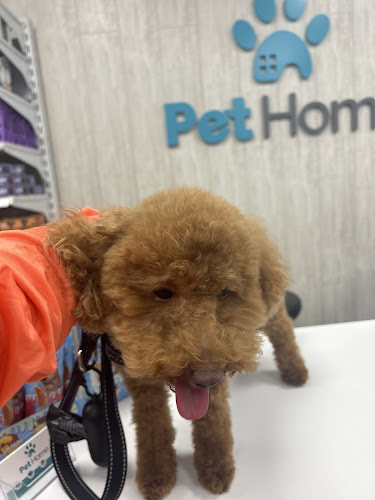 Pet Home en Madrid