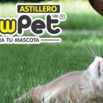 Pety Mundo Animal Acuariofilia & Mascotas & Peluquería Canina Astillero – Peluquería Canina en Astillero