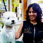 Pet´s Show Peluquería Canina – Peluquería Canina en Oviedo