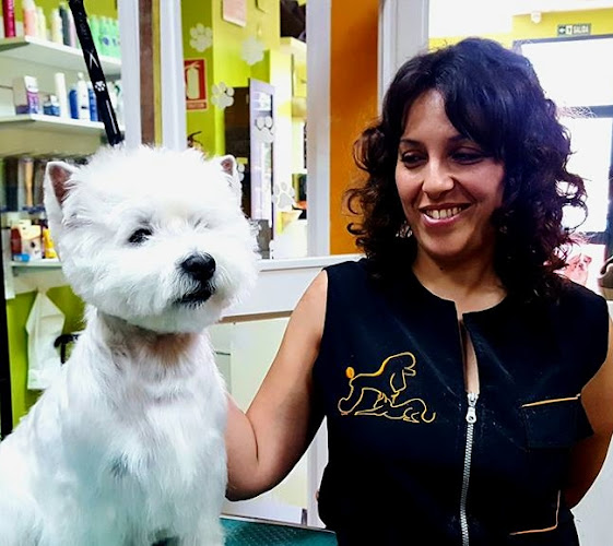 Pet´s Show Peluquería Canina en Asturias