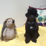 Pichichus: Peluqueria Canina En Mallorca – Peluquería Canina en Palma