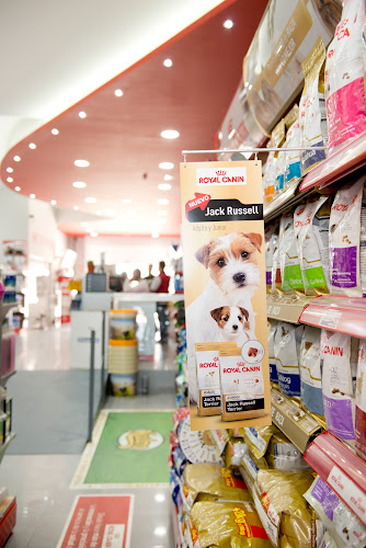 Piensoadomicilio.es en Guadalajara