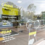 Pintto Peluqueria Canina – Peluquería Canina en Vitoria-gasteiz
