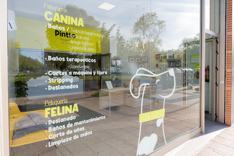 Pintto Peluqueria Canina en Álava