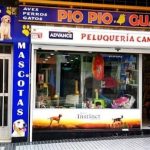 Pio Pio - Guau – Peluquería Canina en Las Palmas De Gran Canaria