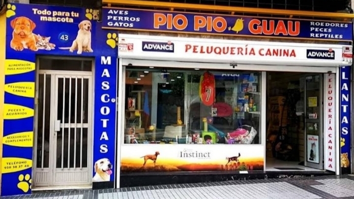 Pio Pio - Guau en Las Palmas