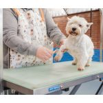 Pluto - Peluqueria Canina Y Felina – Peluquería Canina en Maliaño