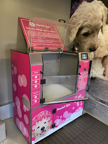 Pondal Spa en Pontevedra