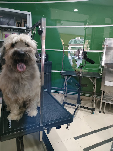 Portsagos | Peluquería & Tienda De Mascotas en Valencia