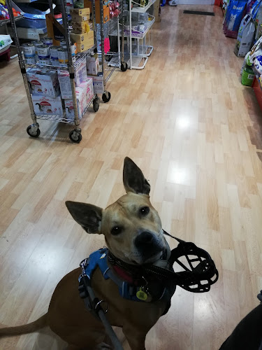 Pro Animals Barcelona. Peluquería Canina Y Tienda De Productos Para Mascotas. en Barcelona