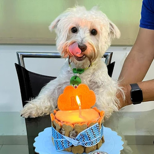 Puppys Cake Es en Madrid