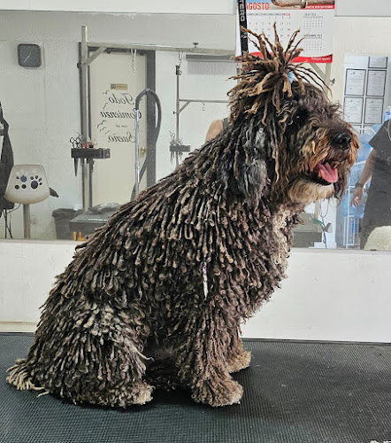 Rastas Coes Peluquería Y Estética Canina en Sevilla