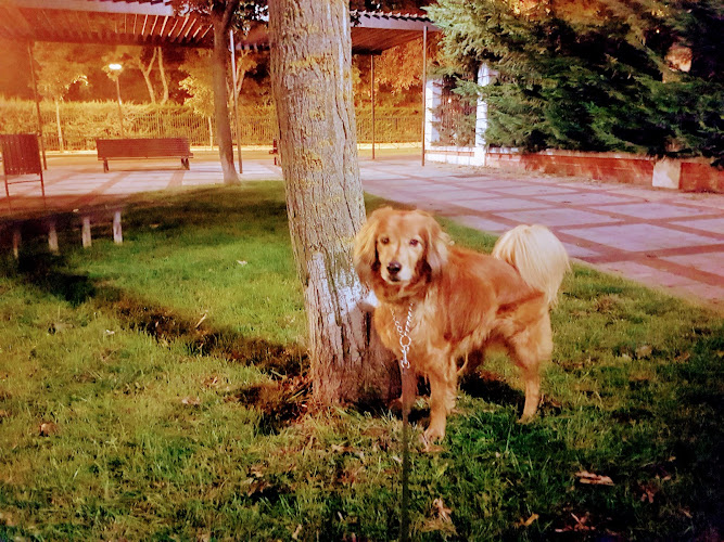 Reservanimal - Gaherproga | Alimentación Y Accesorios, Clínica Veterinaria Y Peluquería Para Mascotas en Palencia