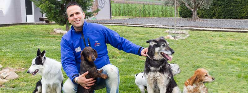 Residencia Canina Riverarce