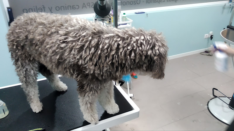 Ríopets en Madrid