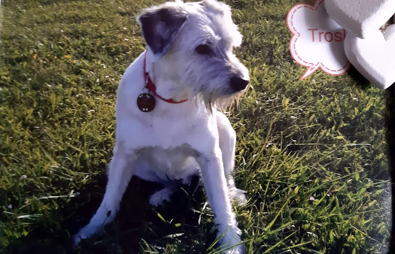 Serv Veterinarios Jacinto Benavente Peluches S. L. en Álava