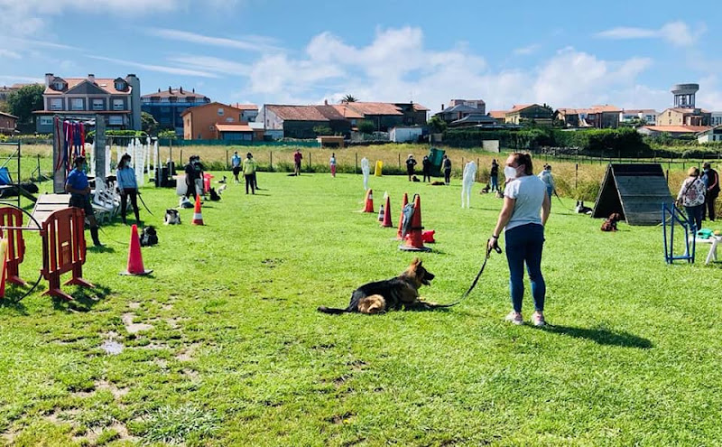 Servicios Caninos en Cantabria