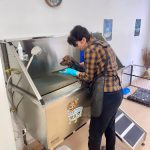 Servicios Lavado De Mascotas. – Peluquería Canina en Almassora