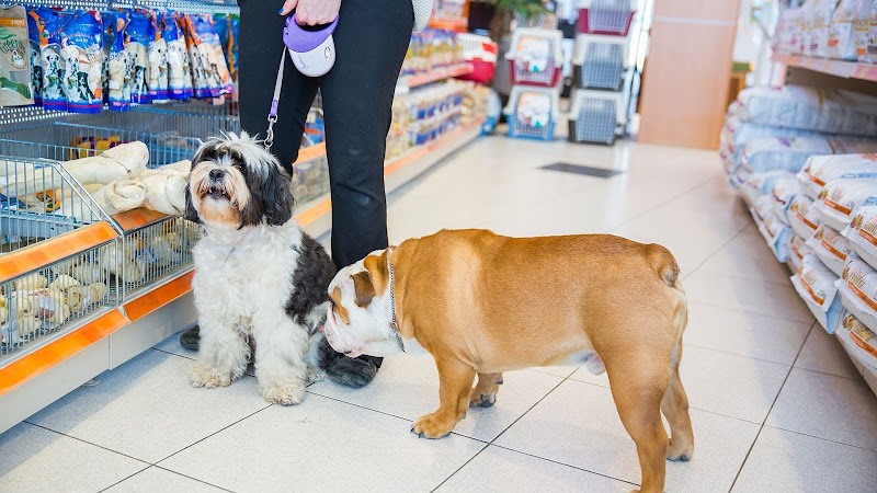 Shira Mascotas en Zaragoza