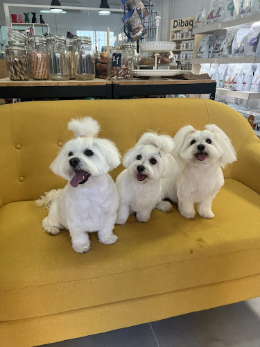 Silvia's Dogs ️ en Balearic Islands