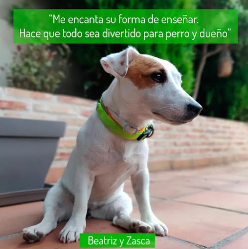Solo Es Un Perro en Madrid