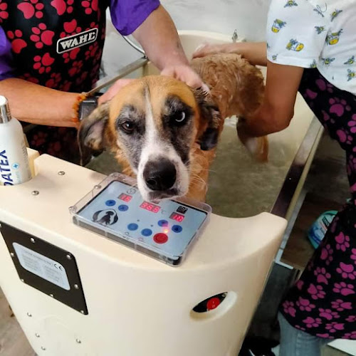 Spa Burbujas en Pontevedra