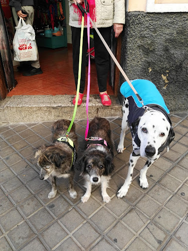 Spa Chuchos en Las Palmas
