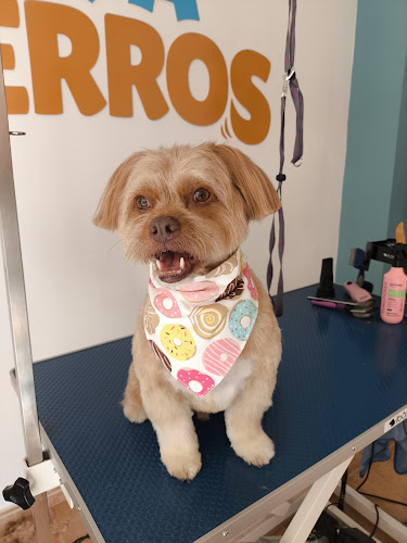 Spa Perros en Granada