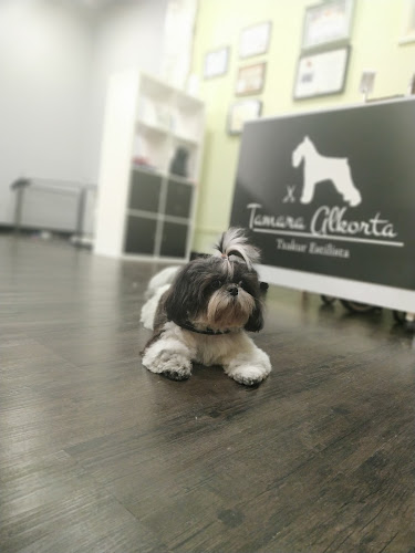 Tamara Alkorta Txakur Estilista en Gipuzkoa