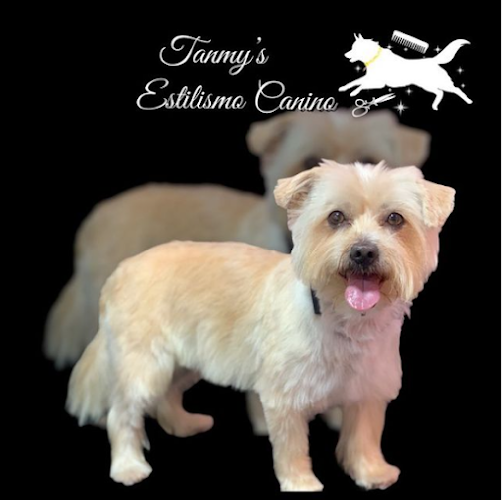 Tammy’s Estilismo Canino en Ceuta