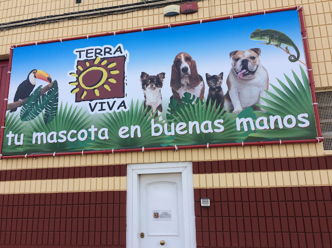 Terraviva Babel en Alicante