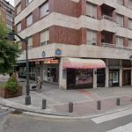 Thelos – Peluquería Canina en Bilbao