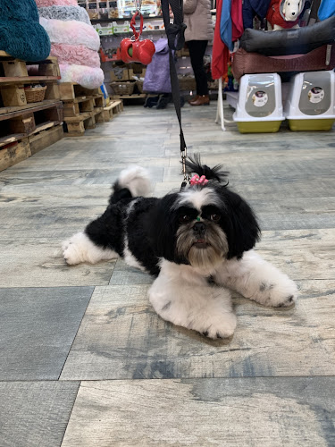 Tienda De Animales Y Peluquería Canina En Badalona | Leo Canin en Barcelona