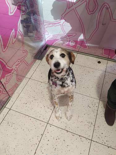 Tiendanimal en Castellón