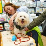 Tiendanimal – Peluquería Canina en Donostia-san Sebastian