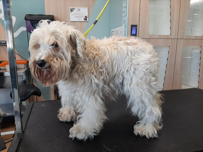 Tiendanimal en Almería