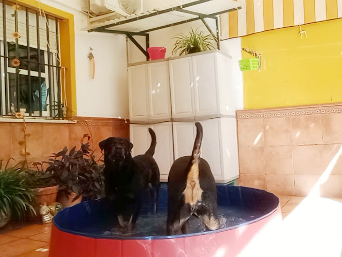 Tiendanimal en Huelva