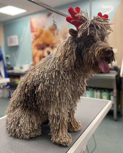 Tiendanimal en Málaga