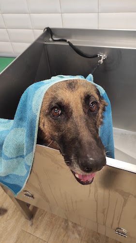 Tiendanimal en Sevilla