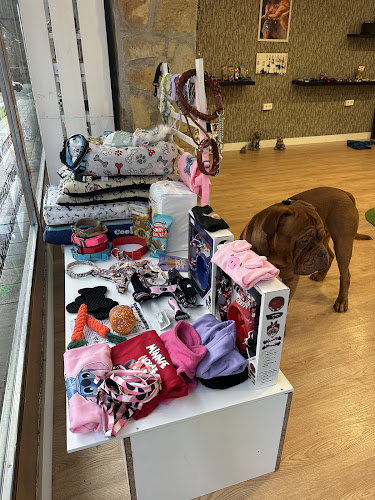 Todo Huellas en Palencia