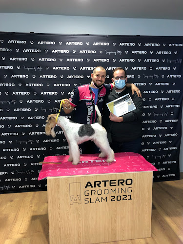 Trébol Dog en Málaga