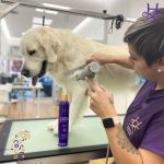 Trufa - Peluquería Canina Y Felina – Peluquería Canina en Las Palmas De Gran Canaria