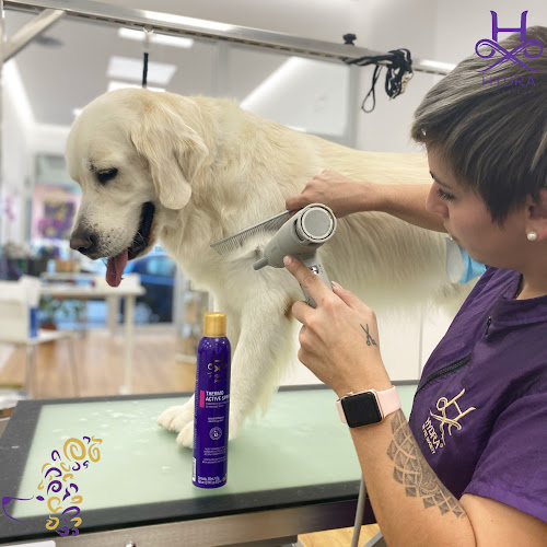 Trufa - Peluquería Canina Y Felina en Las Palmas