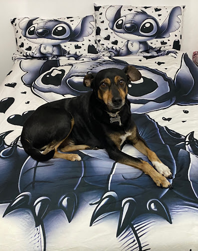 Tu Tienda De Animales en Las Palmas