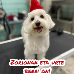 Txakur Cat – Peluquería Canina en Barakaldo